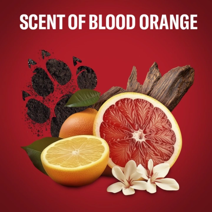 OLD SPICE Tigerclaw dezodorant w sprayu dla mężczyzn 150ml