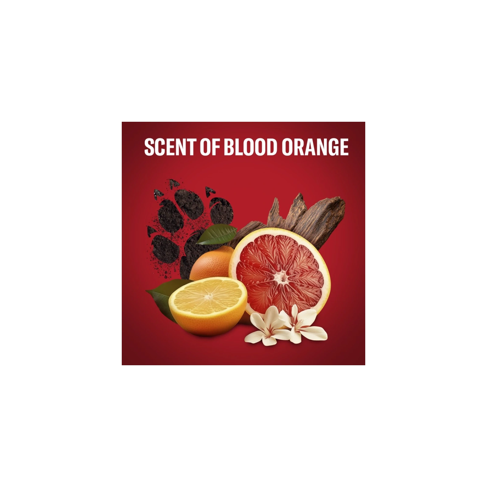 OLD SPICE Tigerclaw dezodorant w sprayu dla mężczyzn 150ml