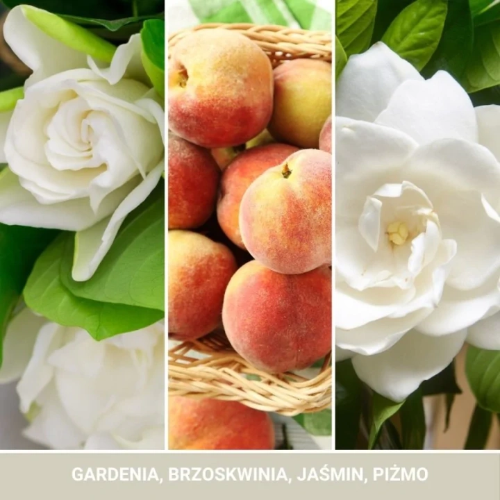 YANKEE CANDLE Signature Średnia świeca w słoiku WHITE GARDENIA 368g