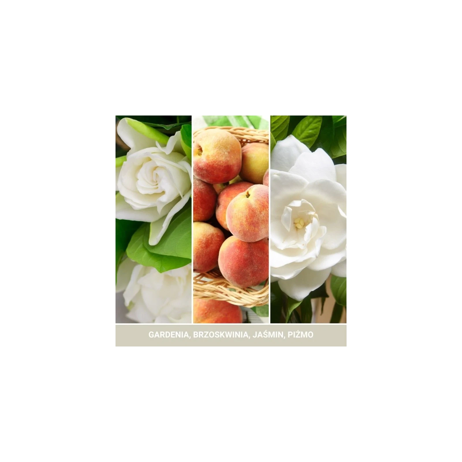 YANKEE CANDLE Signature Średnia świeca w słoiku WHITE GARDENIA 368g