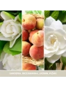 YANKEE CANDLE Signature Średnia świeca w słoiku WHITE GARDENIA 368g