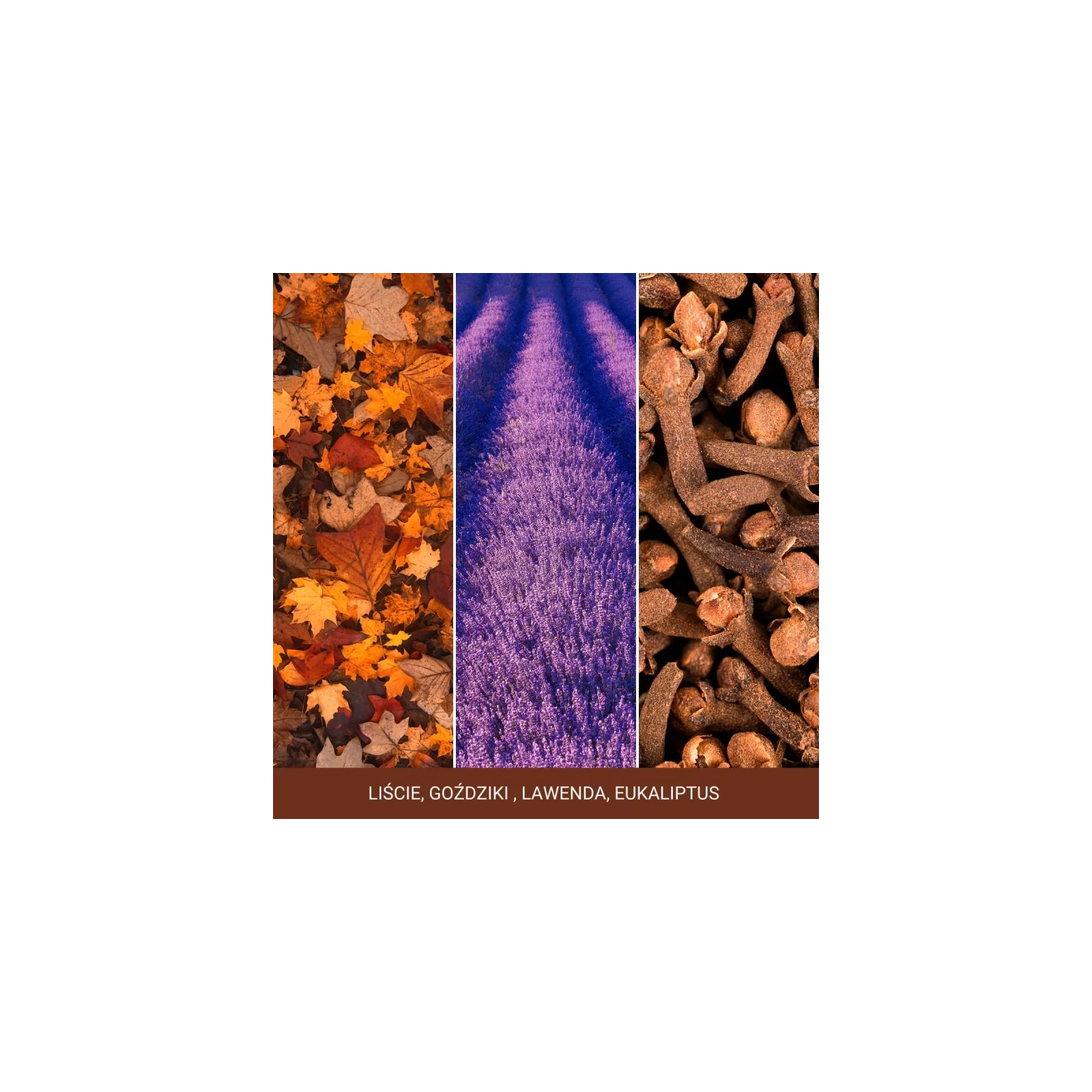 YANKEE CANDLE Signature Średnia świeca w słoiku AUTUMN DAYDREAM 368g