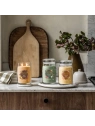 YANKEE CANDLE Signature Duża świeca w słoiku GLISTENING LEAVES 567g