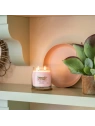 YANKEE CANDLE Signature Średnia świeca w słoiku DESERT BLOOMS 368g