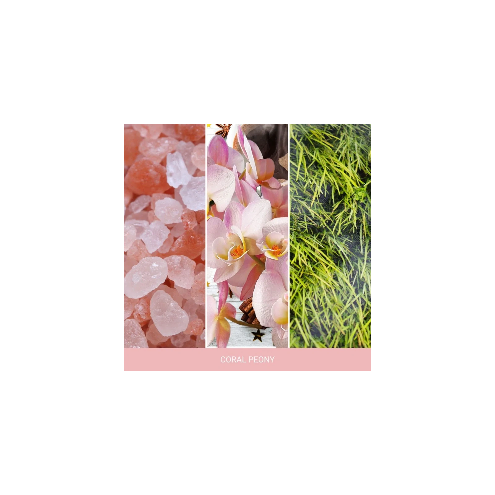 YANKEE CANDLE Home Inspiration Mała świeca w słoiku CORAL PEONY 104g