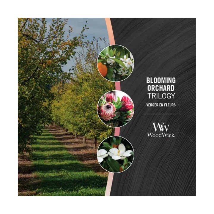 WOODWICK Trilogy Średnia świeca w słoiku BLOOMING ORCHARD 275g