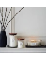 WOODWICK Core Hearthwick świeca w słoiku elipsa ISLAND COCONUT 453g