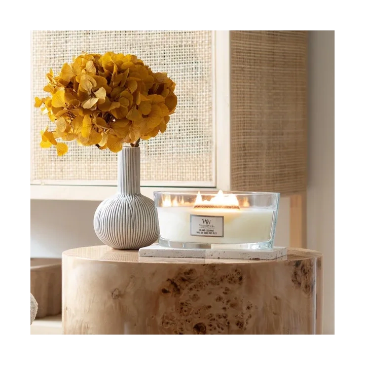 WOODWICK Core Hearthwick świeca w słoiku elipsa ISLAND COCONUT 453g