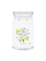 YANKEE CANDLE Signature Duża świeca w słoiku MIDNIGHT JASMINE 567g