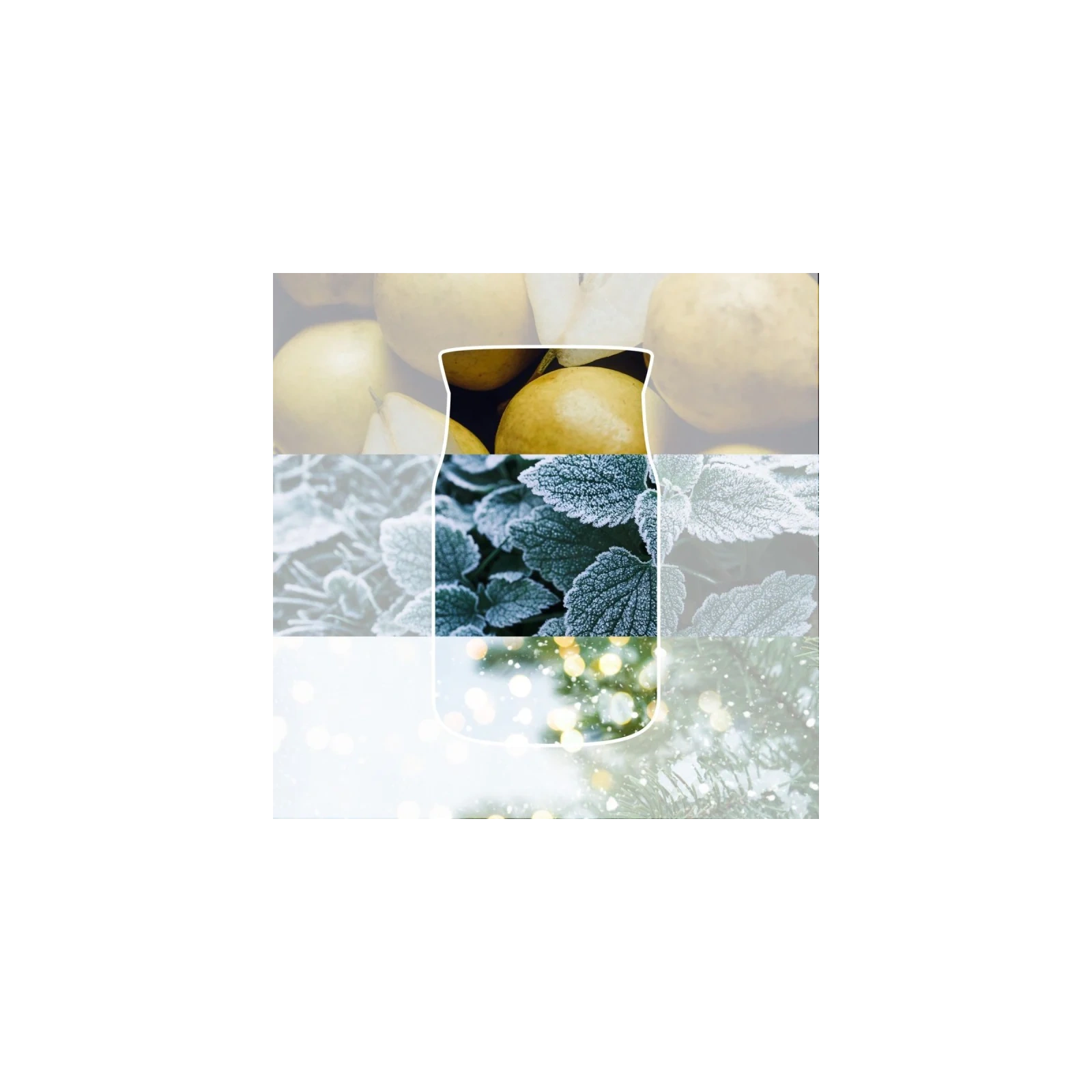 YANKEE CANDLE Winter Walk świeca zapachowa Signature średnia 368g