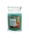 YANKEE CANDLE Tree Trimming świeca zapachowa Signature duża 567g