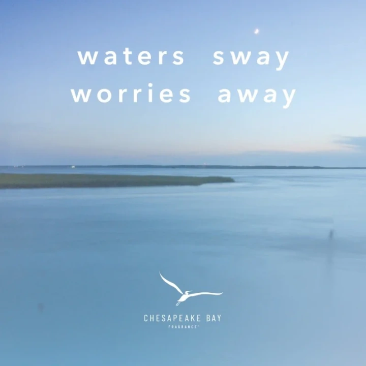 Chesapeake Bay Fragrance Serene Waters dyfuzor zapachowy z patyczkami 150ml