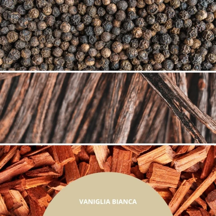 Millefiori Milano Vaniglia Bianca dyfuzor zapachowy z patyczkami 100ml