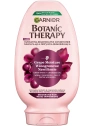 GARNIER Botanic Therapy nawilżająca odżywka do włosów Grape Moisture 200ml