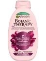 GARNIER Botanic Therapy nawilżający szampon do włosów Grape Moisture 250ml