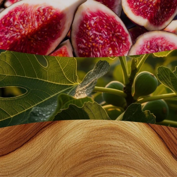 WOODWICK Verdant Fig świeca zapachowa mała 85g