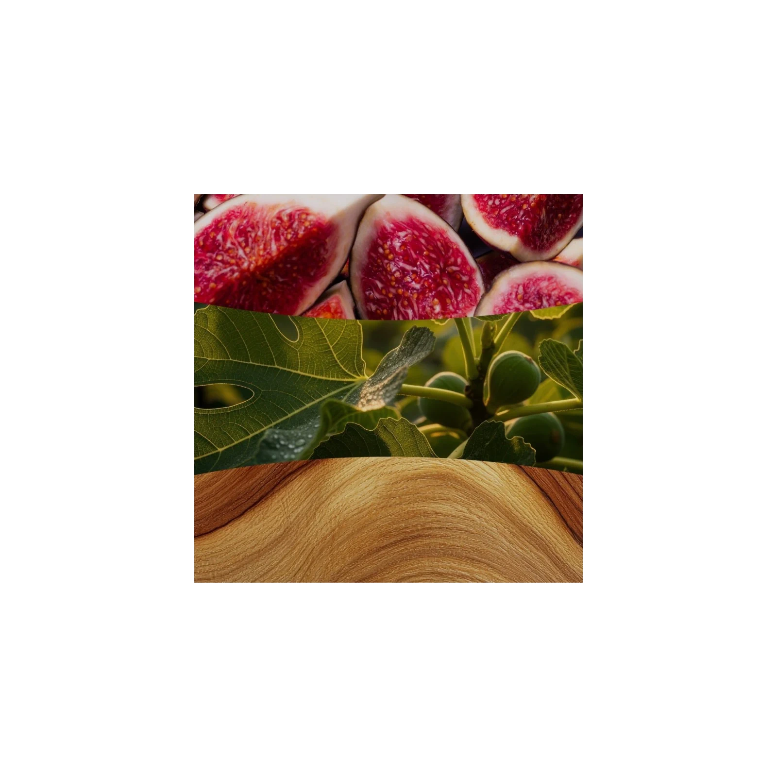 WOODWICK Verdant Fig świeca zapachowa mała 85g
