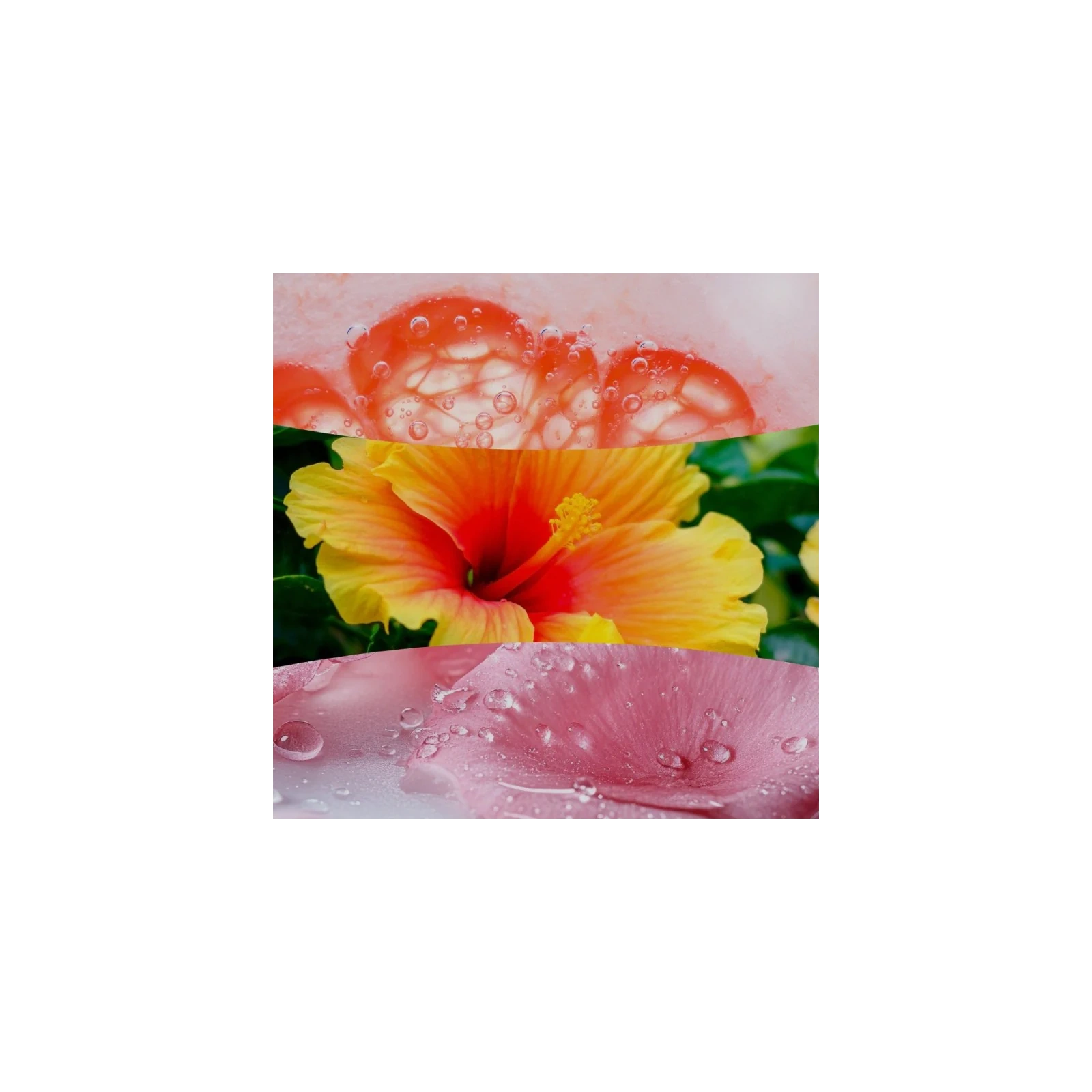 WOODWICK Lush Pomelo świeca zapachowa duża 610g