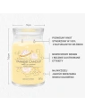 YANKEE CANDLE Vanilla Cupcake świeca zapachowa duża 623g