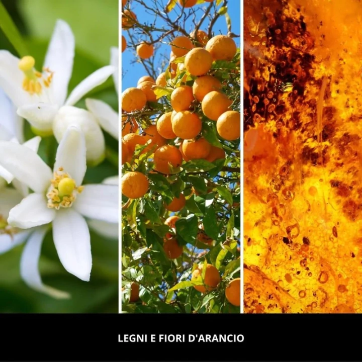 Millefiori Milano Legni E Fiori D'Arancio dyfuzor zapachowy z patyczkami 500ml