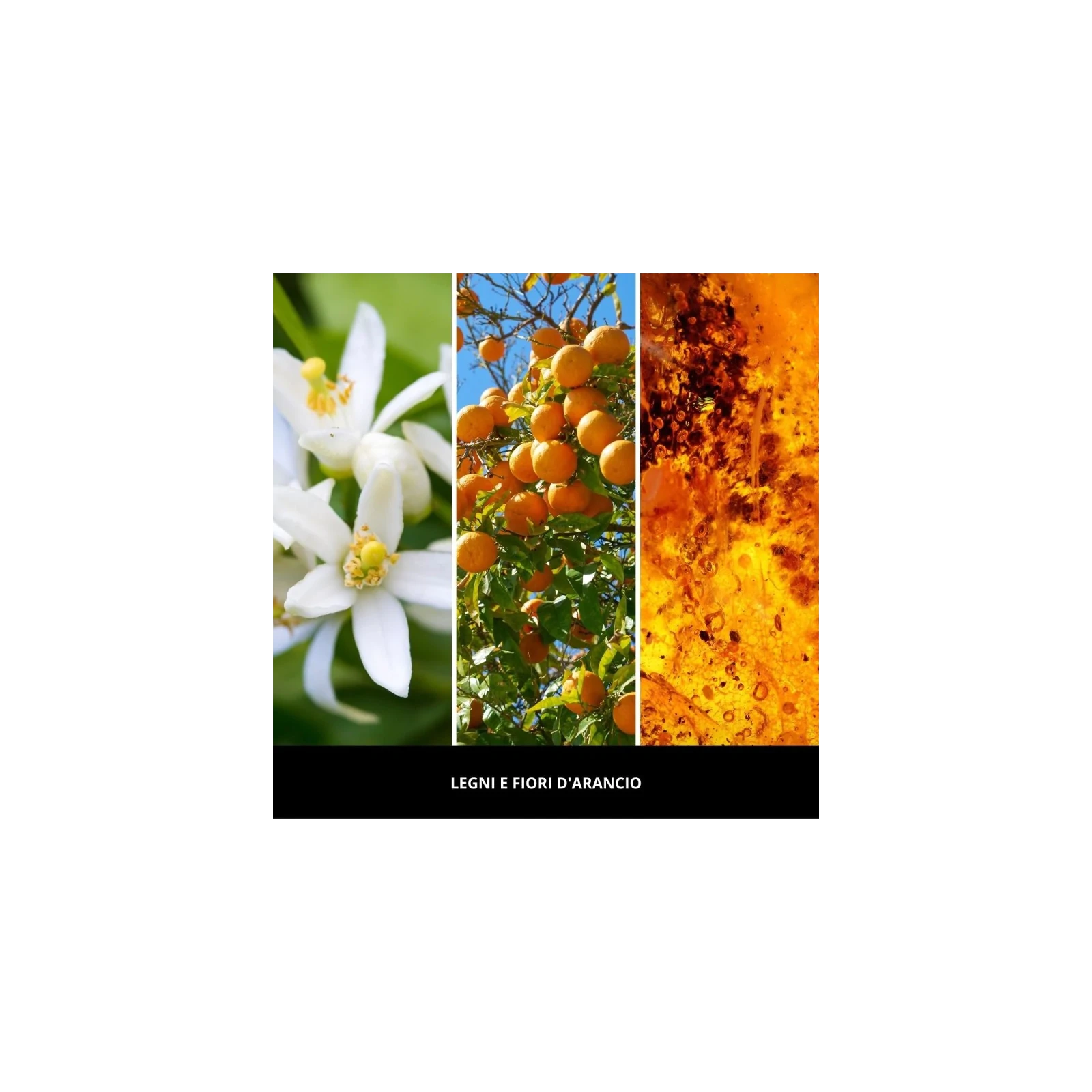 Millefiori Milano Legni E Fiori D'Arancio dyfuzor zapachowy z patyczkami 500ml