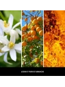 Millefiori Milano Legni E Fiori D'Arancio dyfuzor zapachowy z patyczkami 500ml