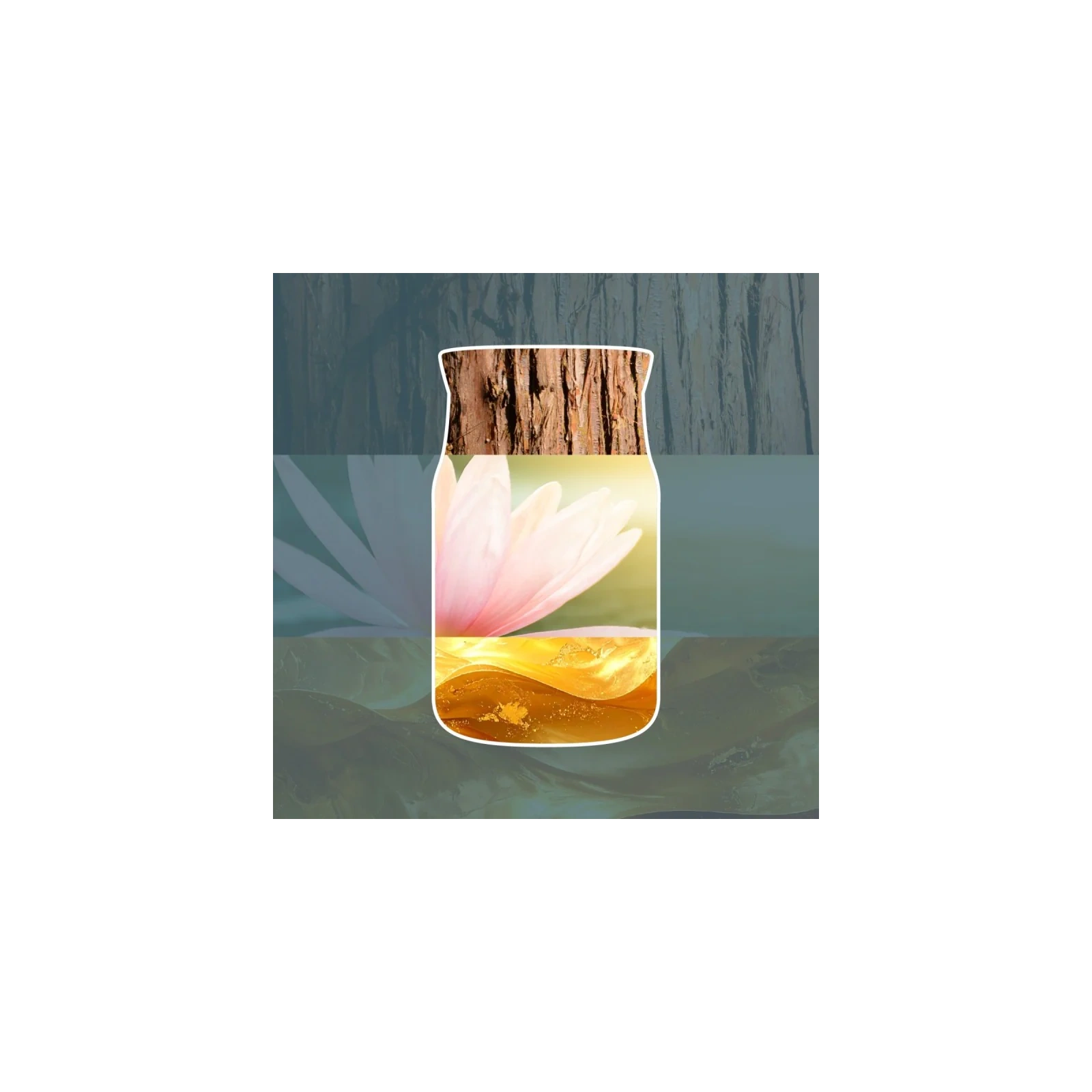 YANKEE CANDLE Bayside Cedar wkład do odświeżacza elektrycznego 2x18,5ml