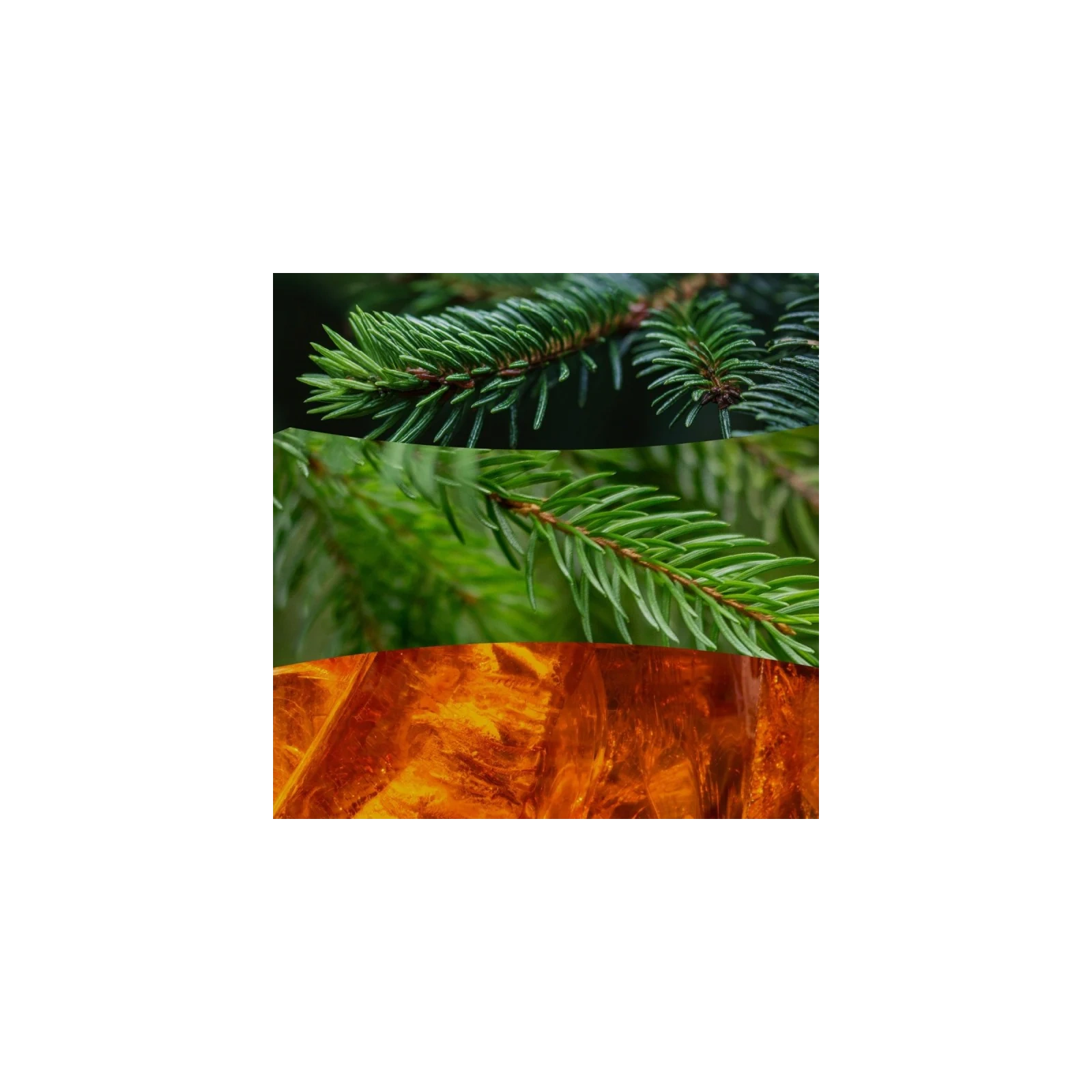 WOODWICK Frasier Fir świeca zapachowa średnia 275g