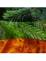 WOODWICK Frasier Fir świeca zapachowa średnia 275g