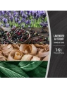 WOODWICK PlusWick duża świeca w słoiku LAVENDER & CEDAR 609,5g 