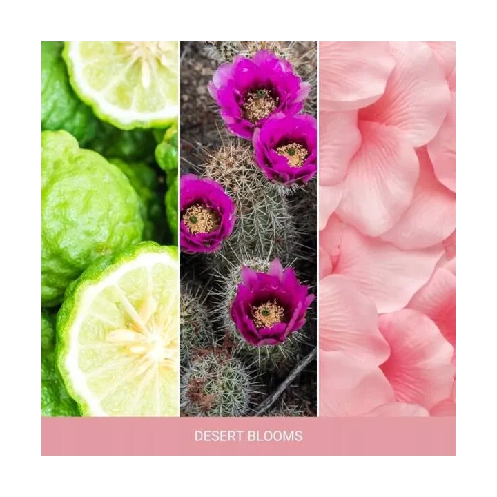 YANKEE CANDLE Signature Duża świeca w słoiku DESERT BLOOMS 567g 