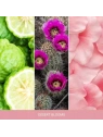 YANKEE CANDLE Signature Duża świeca w słoiku DESERT BLOOMS 567g 