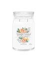 YANKEE CANDLE Signature Duża świeca w słoiku WHITE SPRUCE & GRAPEFRUIT 567g