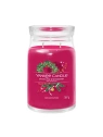YANKEE CANDLE Signature Duża świeca w słoiku SPARKLING WINTERBERRY 567g 