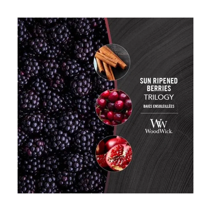 WOODWICK Hearthwick Trilogy świeca w słoiku elipsa SUN-RIPENED BERRIES 453g 