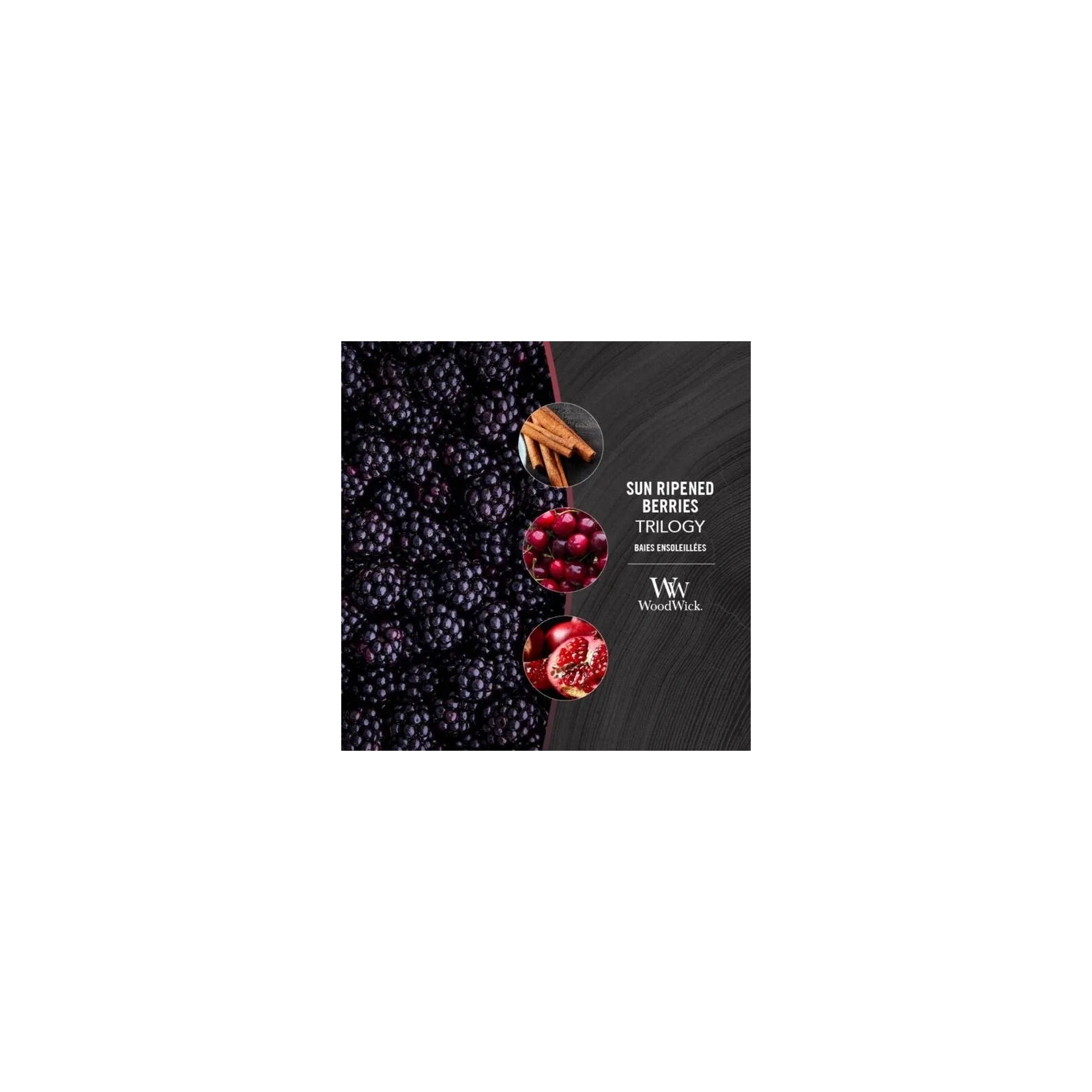 WOODWICK Hearthwick Trilogy świeca w słoiku elipsa SUN-RIPENED BERRIES 453g 