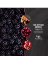 WOODWICK Hearthwick Trilogy świeca w słoiku elipsa SUN-RIPENED BERRIES 453g 