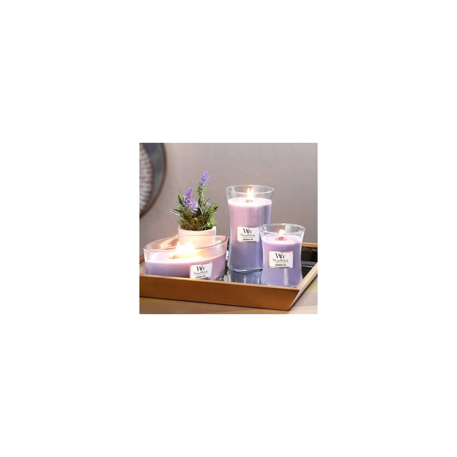 WOODWICK Core Hearthwick świeca w słoiku elipsa LAVENDER SPA 453g 