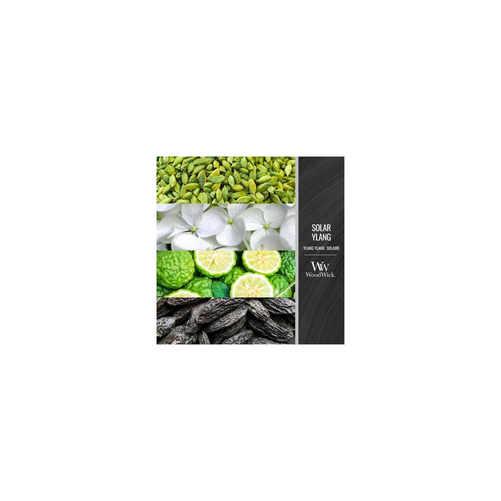 WOODWICK Core Hearthwick świeca w słoiku elipsa SOLAR YLANG 453g 