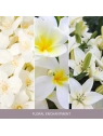 YANKEE CANDLE Home Inspiration Mała świeca w słoiku FLORAL ENCHANTMENT 104g