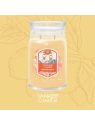 YANKEE CANDLE Signature Duża świeca w słoiku SLOPESIDE SPRITZ 567g