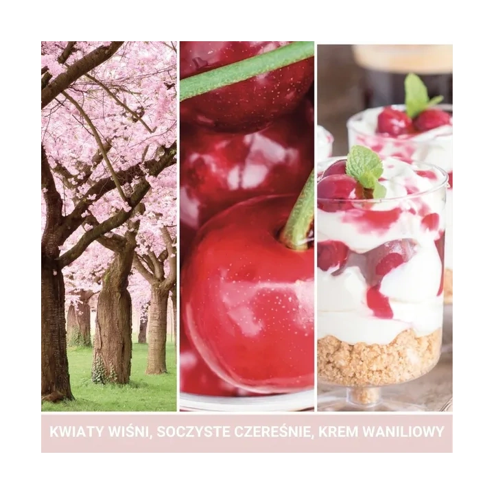 YANKEE CANDLE Classic Wax wosk zapachowy PINK CHERRY & VANILLA 22g
