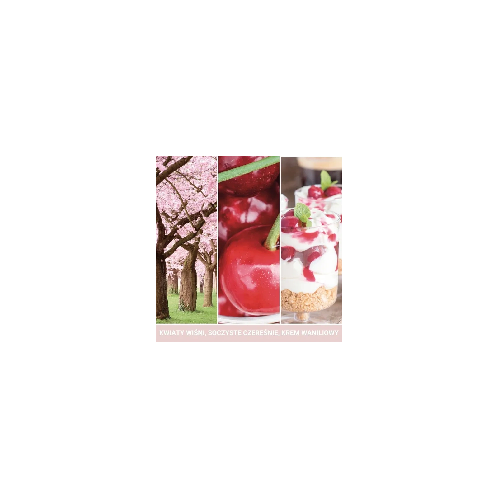 YANKEE CANDLE Classic Wax wosk zapachowy PINK CHERRY & VANILLA 22g