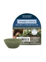 YANKEE CANDLE Classic Wax wosk zapachowy SILVER SAGE & PINE 22g