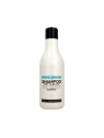 STAPIZ Basic Salon szampon do włosów oczyszczający 1000ml 