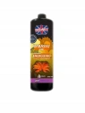 RONNEY Babassu Oil enegretyzujący szampon do włosów farbowanych  1000ml