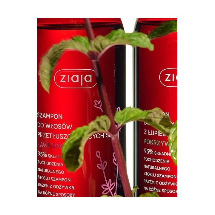 ZIAJA Szampon do włosów Lawendowy 500ml