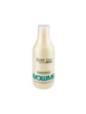 STAPIZ Sleek Line Volume Szampon do włosów 300ml