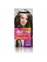DELIA Cameleo Coloring szamponetka koloryzująca 4.36 Dark Chocolate 40ml