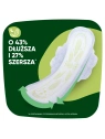 NATURELLA Ultra Night Plus podpaski ze skrzydełkami chłonność 8 12szt